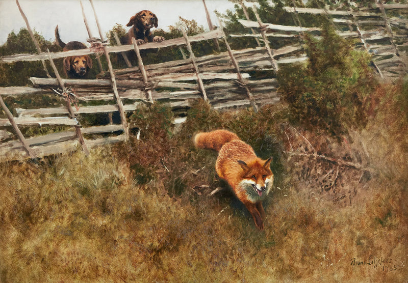 Volpe inseguita dai cani - Bruno Liljefors
