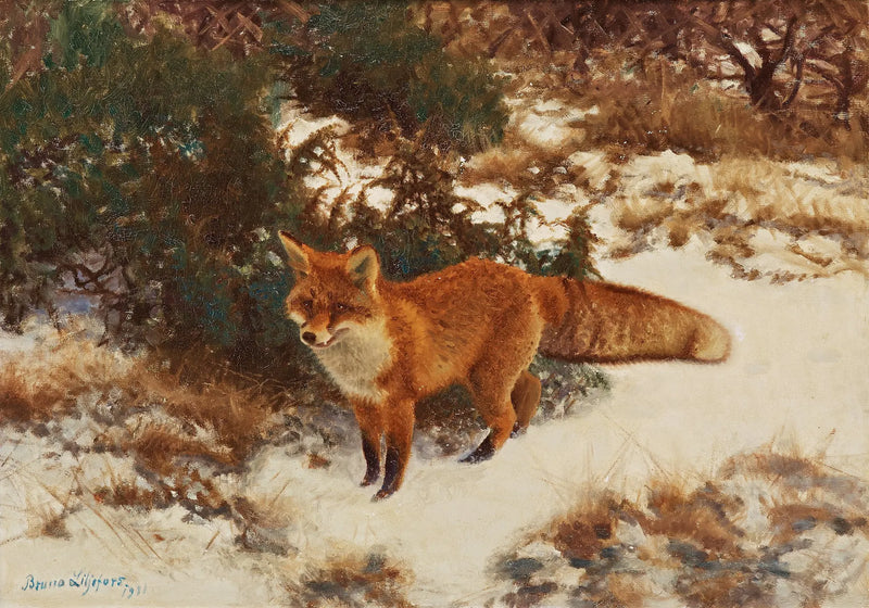 Volpe nella foresta invernale - Bruno Liljefors