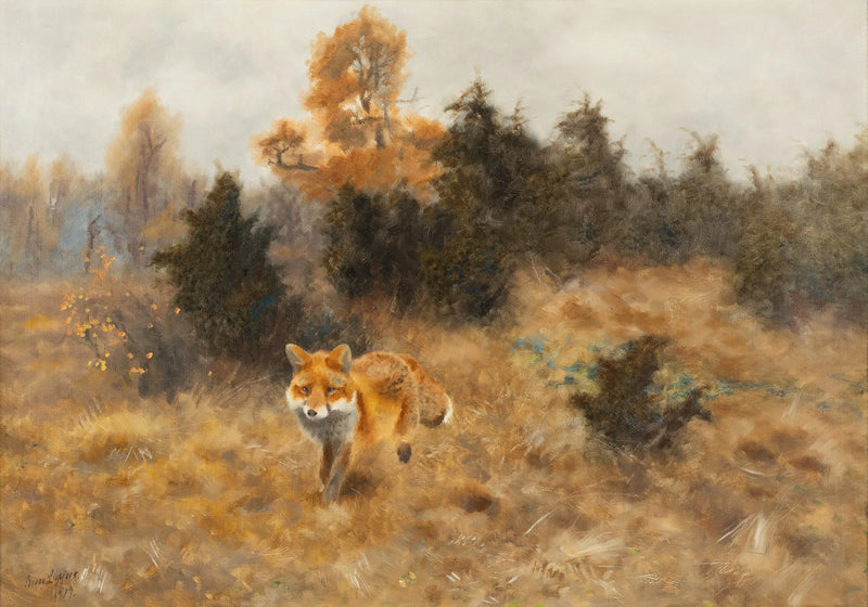 Volpe in un paesaggio autunnale - Bruno Liljefors