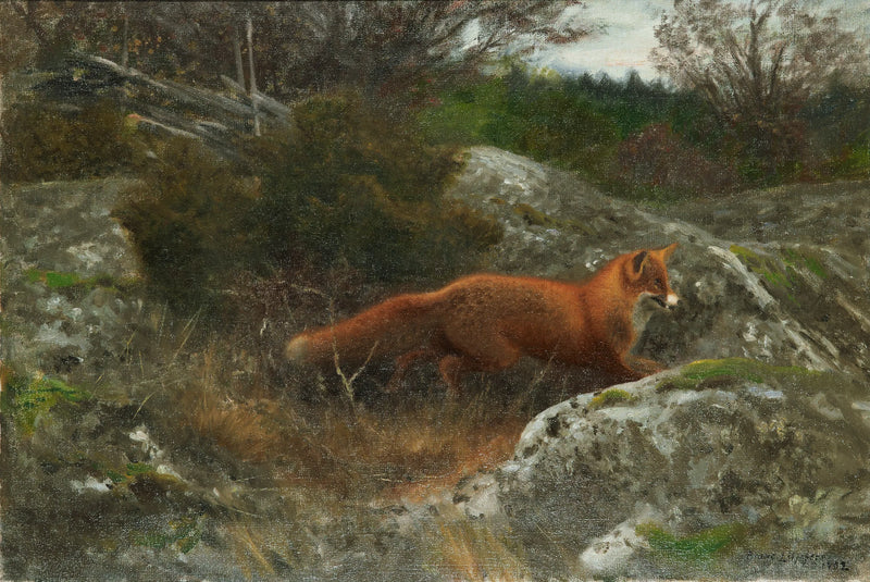 Volpe in un paesaggio autunnale - Bruno Liljefors