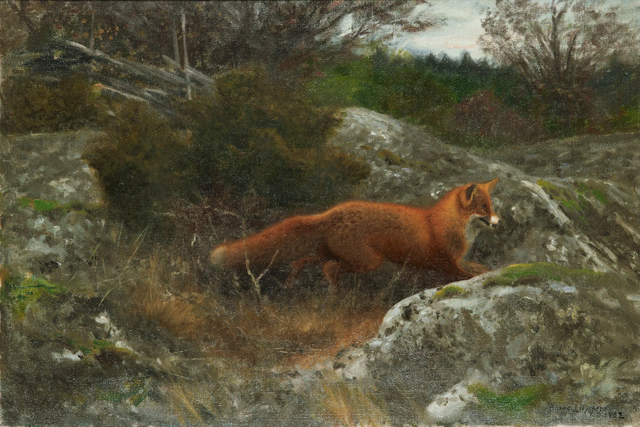 Volpe in un paesaggio autunnale - Bruno Liljefors