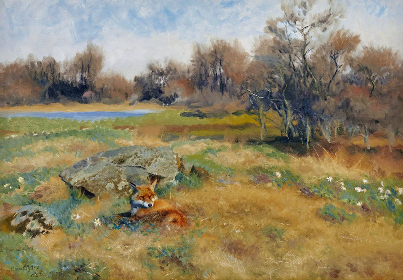 Volpe in un prato fiorito primaverile - Bruno Liljefors