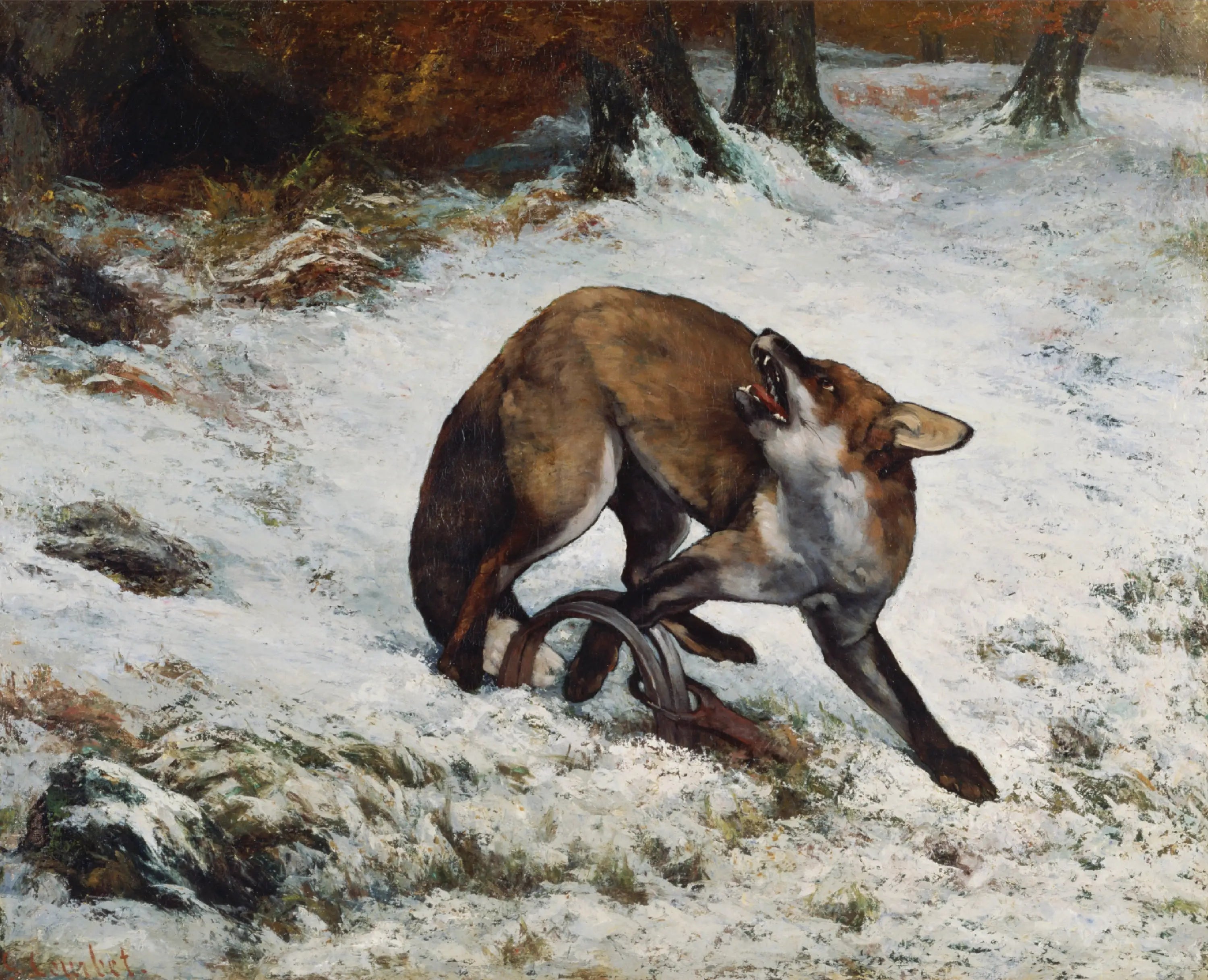Renard pris dans un piège - Gustave Courbet image 1 reproduction de peinture à l’huile
