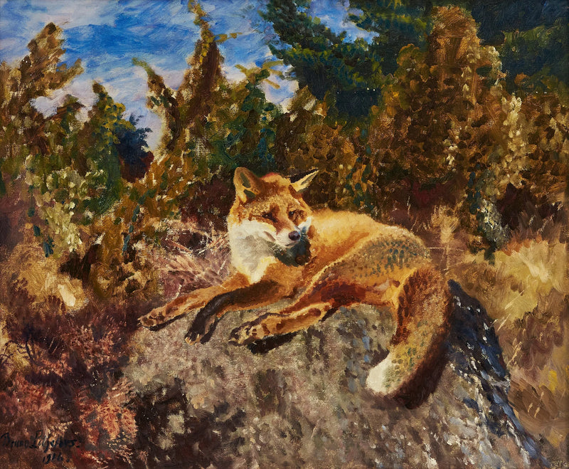 Volpe che riposa in un paesaggio forestale - Bruno Liljefors