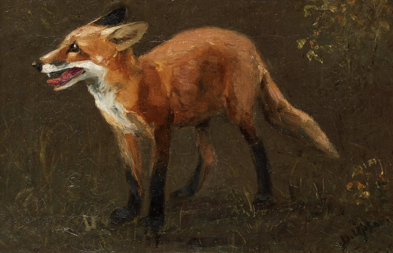 Cucciolo di volpe - Bruno Liljefors