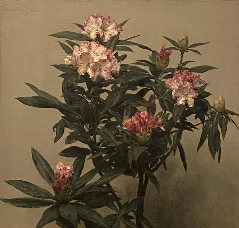 Rododendri - Henri Fantin-Latour