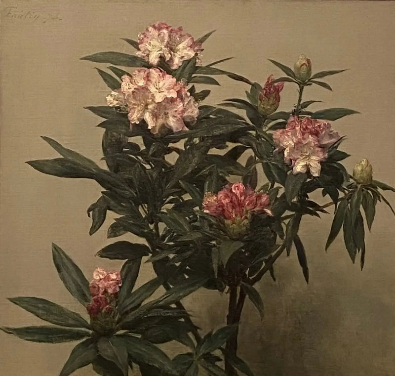 Rododendri - Henri Fantin-Latour