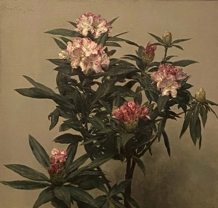 Rododendri - Henri Fantin-Latour
