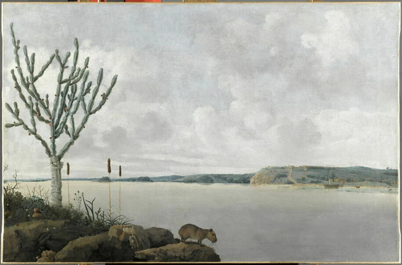 Le Rio San Francisco et le fort Maurice, avec un 