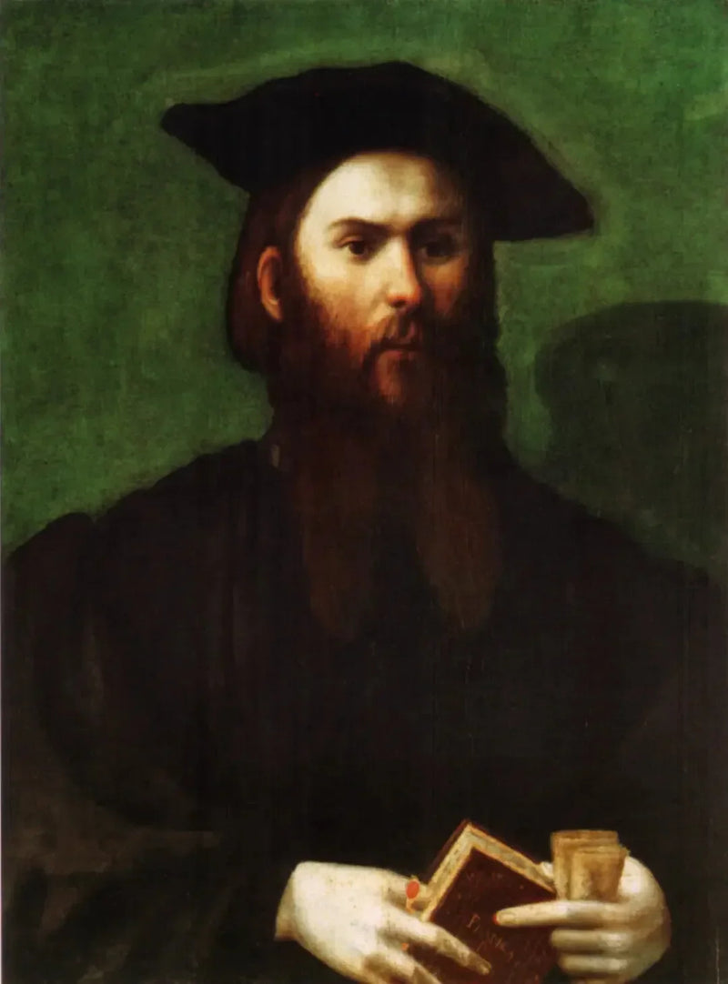 Q3937412 - Parmigianino