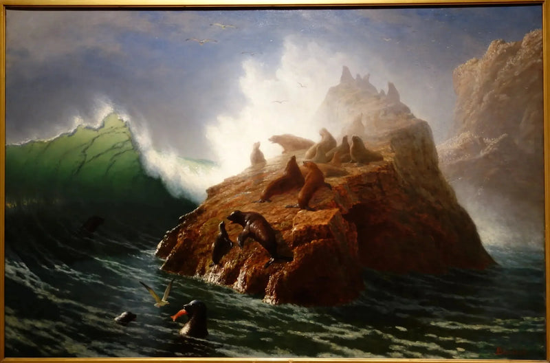 Roccia del foca - Albert Bierstadt