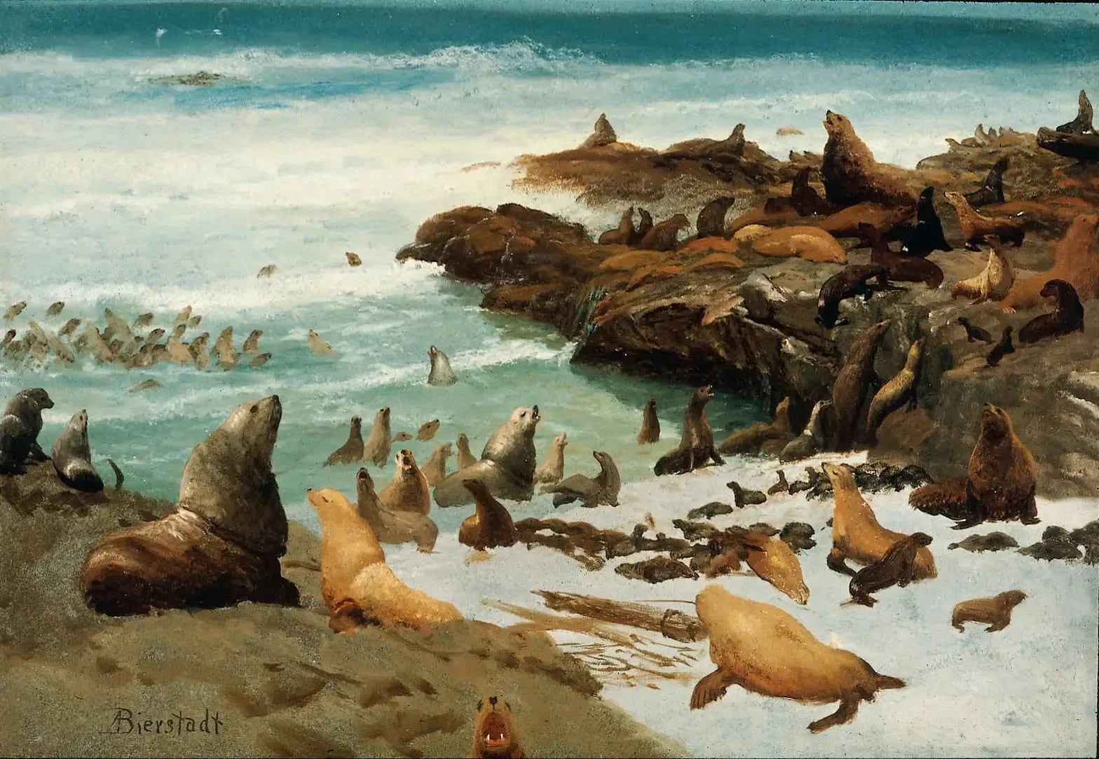 Rochers des phoques, Farallons - Albert Bierstadt image 1 copie peinte à la main à l’huile