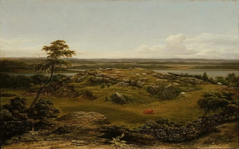 Rocce in Nuova-Anglia - Martin Johnson Heade