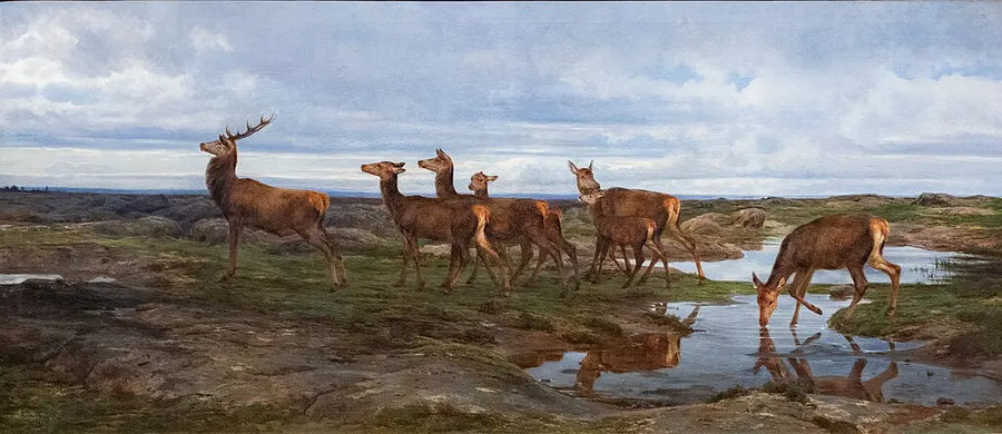 Une famille de cerfs - Rosa Bonheur