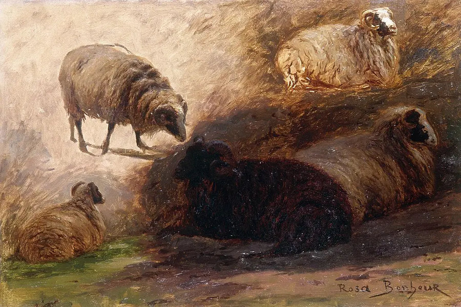 Esquisse de moutons - Rosa Bonheur