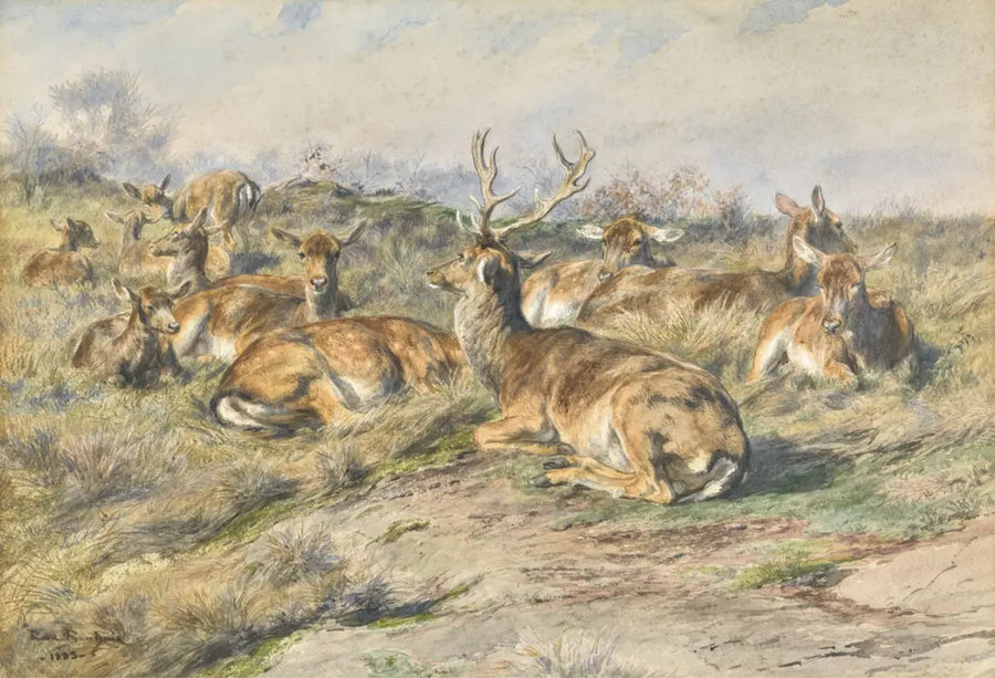 Étude de cerf, peinture de Rosa Bonheur