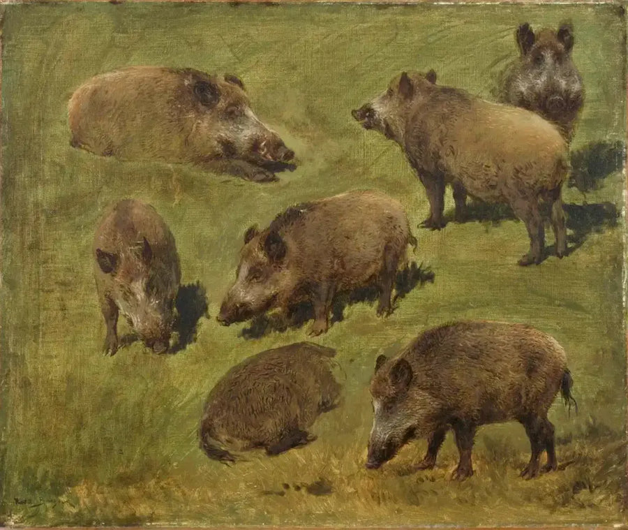 Sept études de sanglier, peinture de Rosa Bonheur