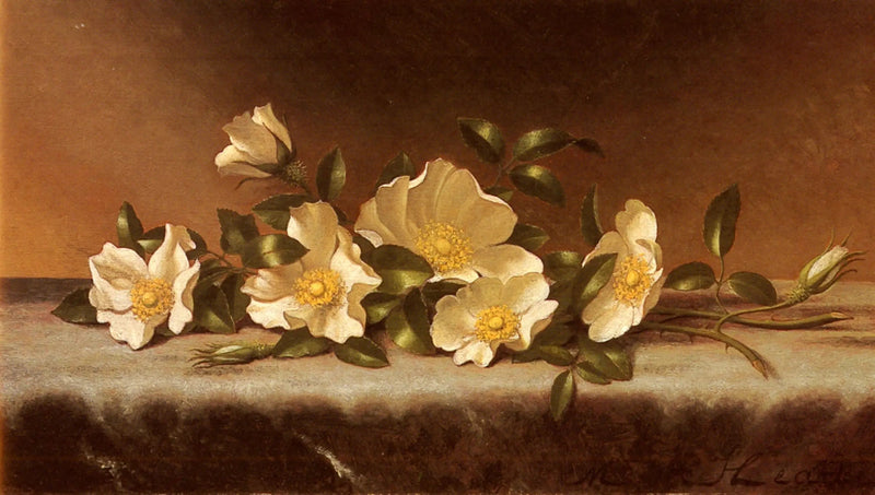 Rose Cherokee su un tessuto grigio chiaro - Martin Johnson Heade