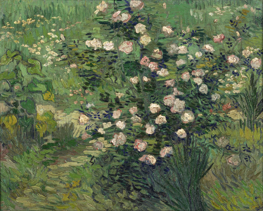 Rose - Vincent van Gogh