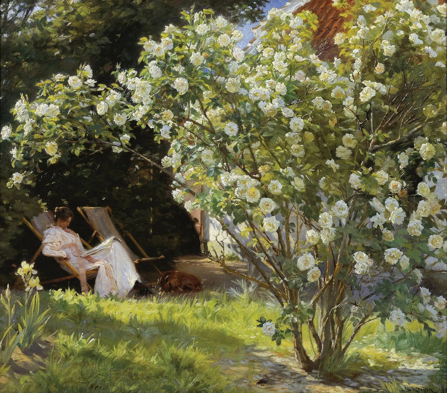 Rose - Peder Severin Krøyer