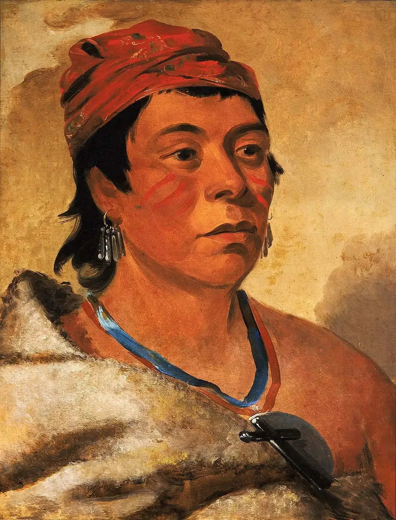 Round Island, un guerriero - George Catlin