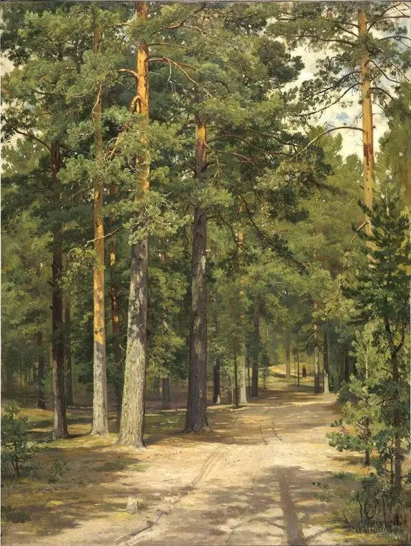 Percorso nella foresta di pini - Ivan Chichkine