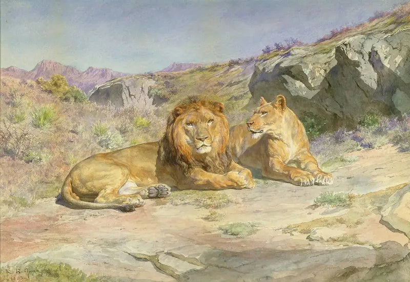 Royale a casa - Rosa Bonheur