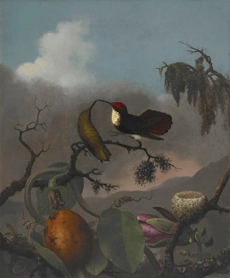Rubino-Topazio - Martin Johnson Heade