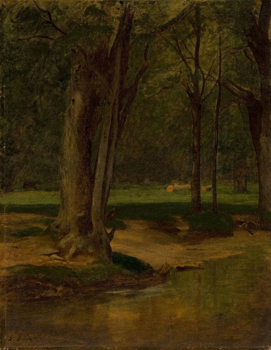 Ruisseau à trote, North Conway - George Inness