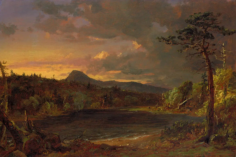 Ruscello Catskill - Jasper Francis Cropsey