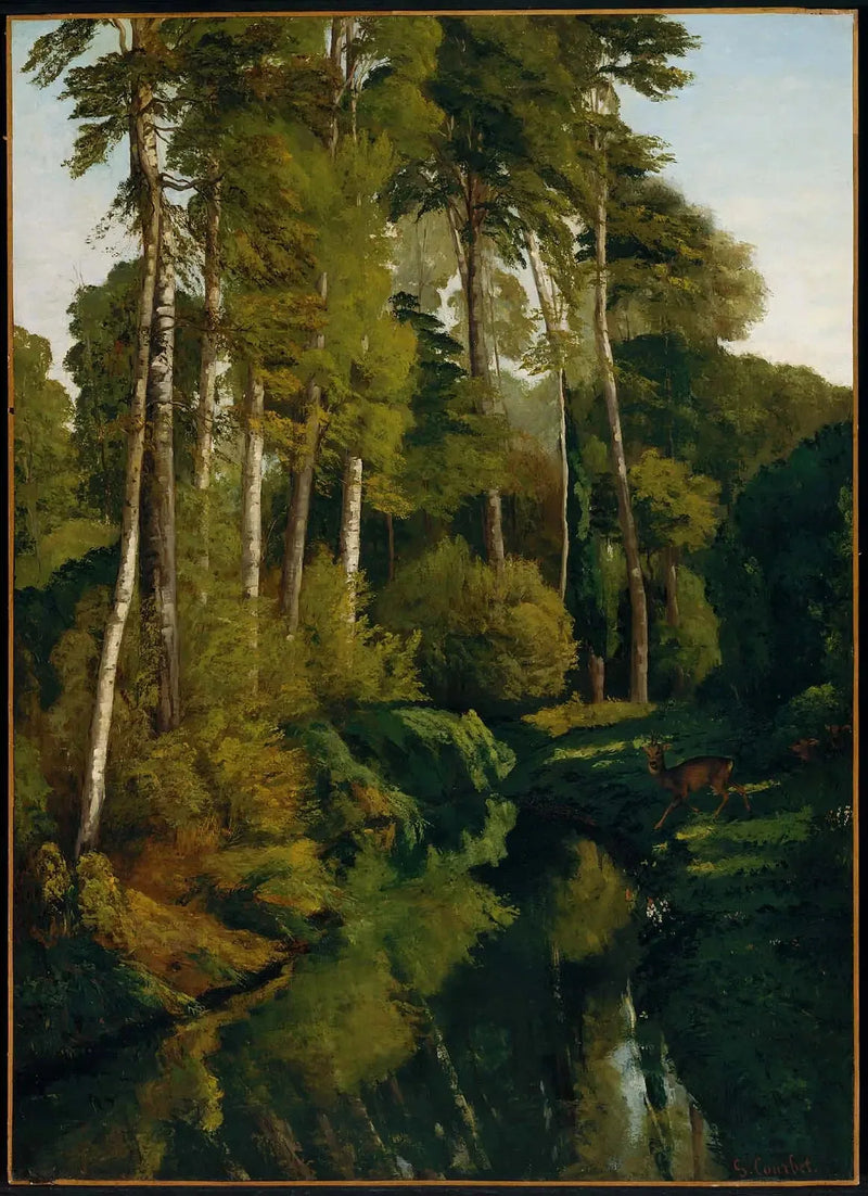 Ruscello nella foresta - Gustave Courbet