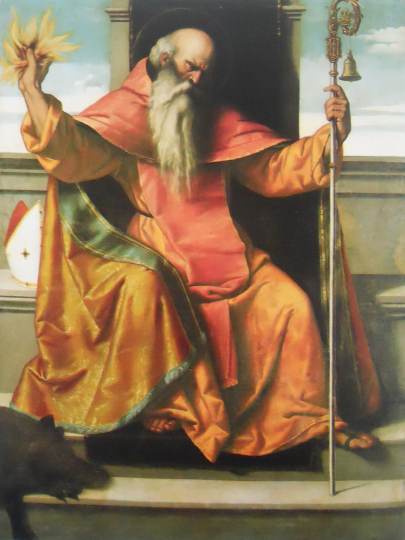 Sant'Antonio Abate - Alessandro Bonvicino