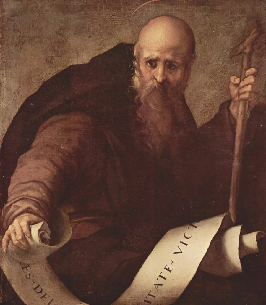 Sant'Antonio abate - Pontormo