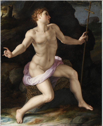 San Giovanni Battista nel deserto - Bronzino