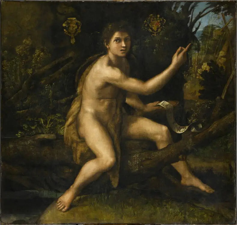 San Giovanni Battista nel deserto - Raffaello Sanzio