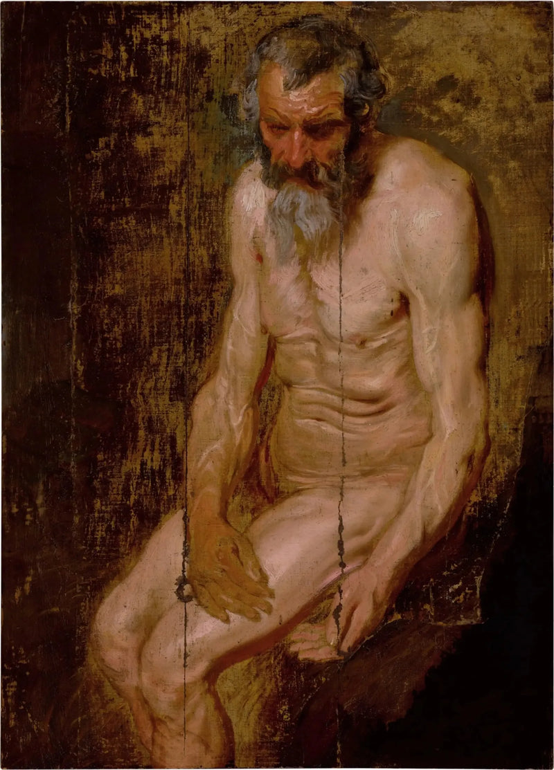 San Girolamo - Antoine van Dyck