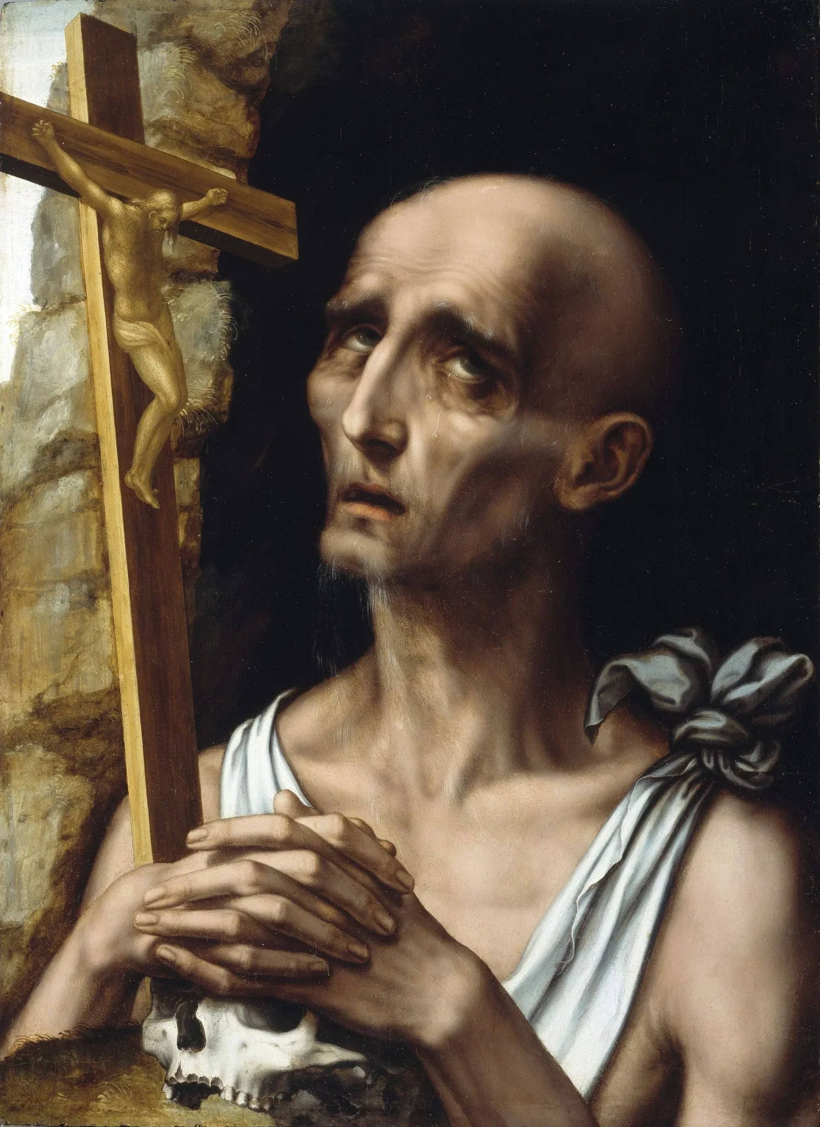 Saint Jérôme dans le désert - Luis de Morales image 1 reproduction d’œuvre d’art à l’huile