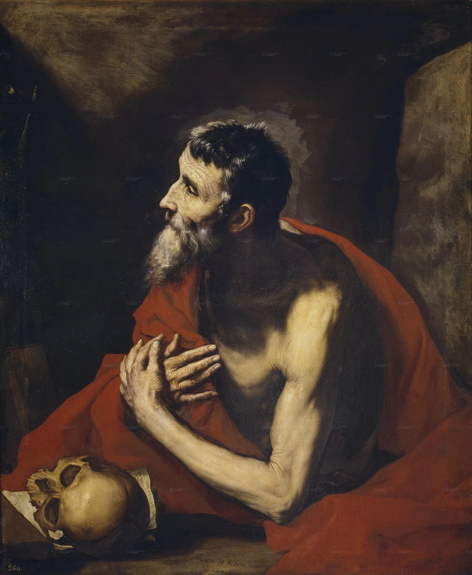 Saint Jérôme - José de Ribera