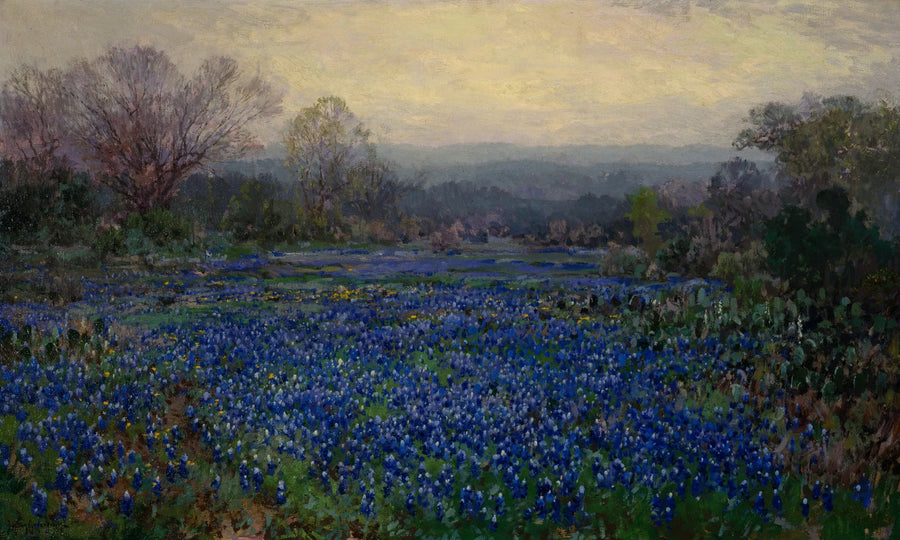 Senza titolo (Campo di lupini blu) - Julian Onderdonk