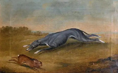 Senza titolo (Cane che insegue un lepre) - George Stubbs