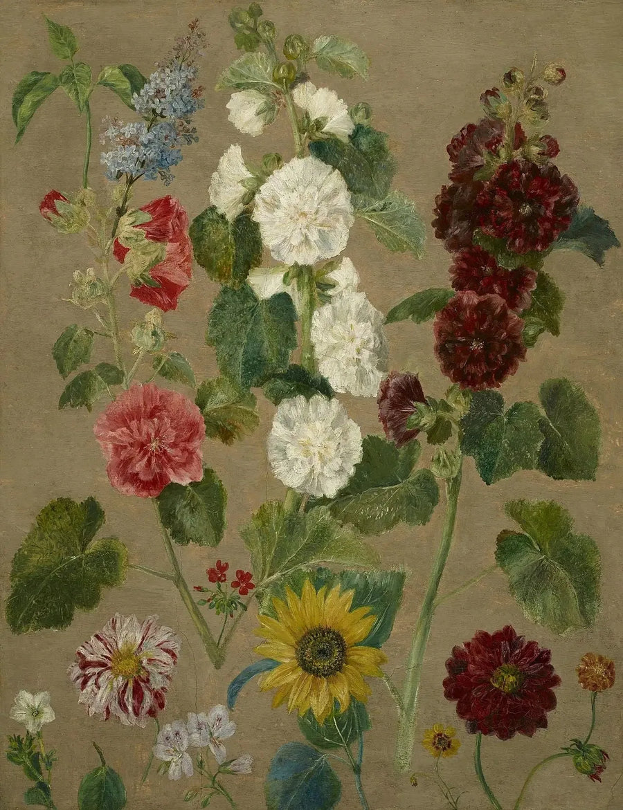 Senza titolo [fiori] - Eugène Delacroix