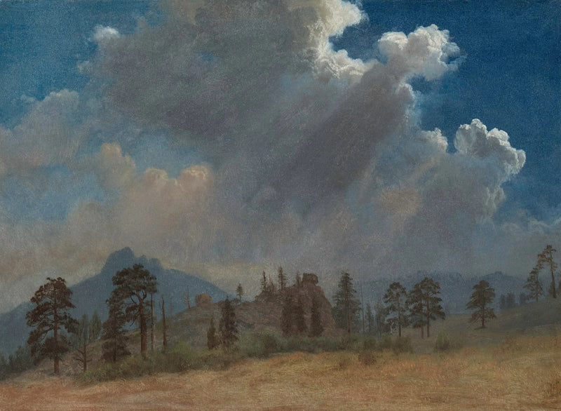 Abeti e nuvole di tempesta - Albert Bierstadt