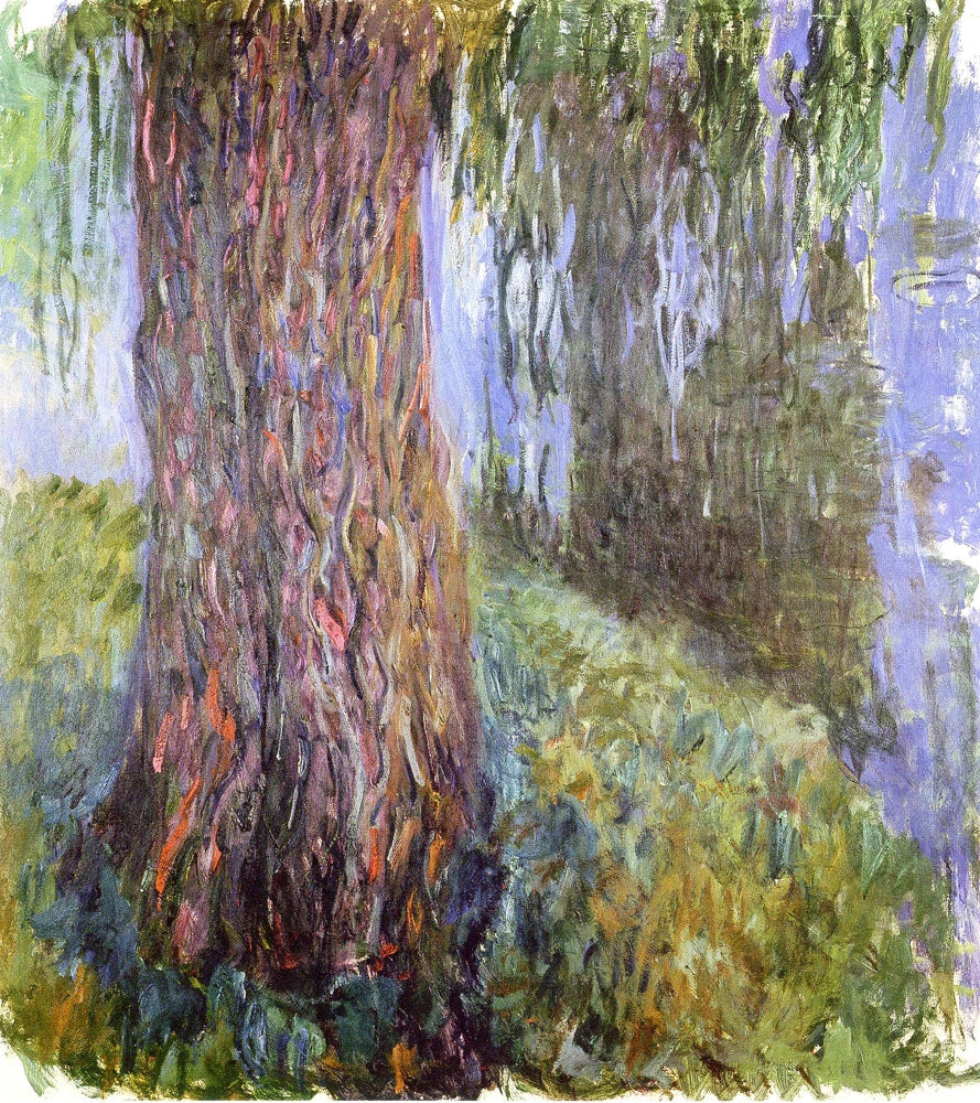 Salice piangente e stagno con ninfee - Claude Monet