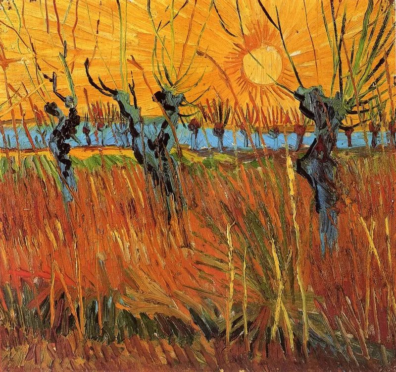 Salici al tramonto - Vincent van Gogh