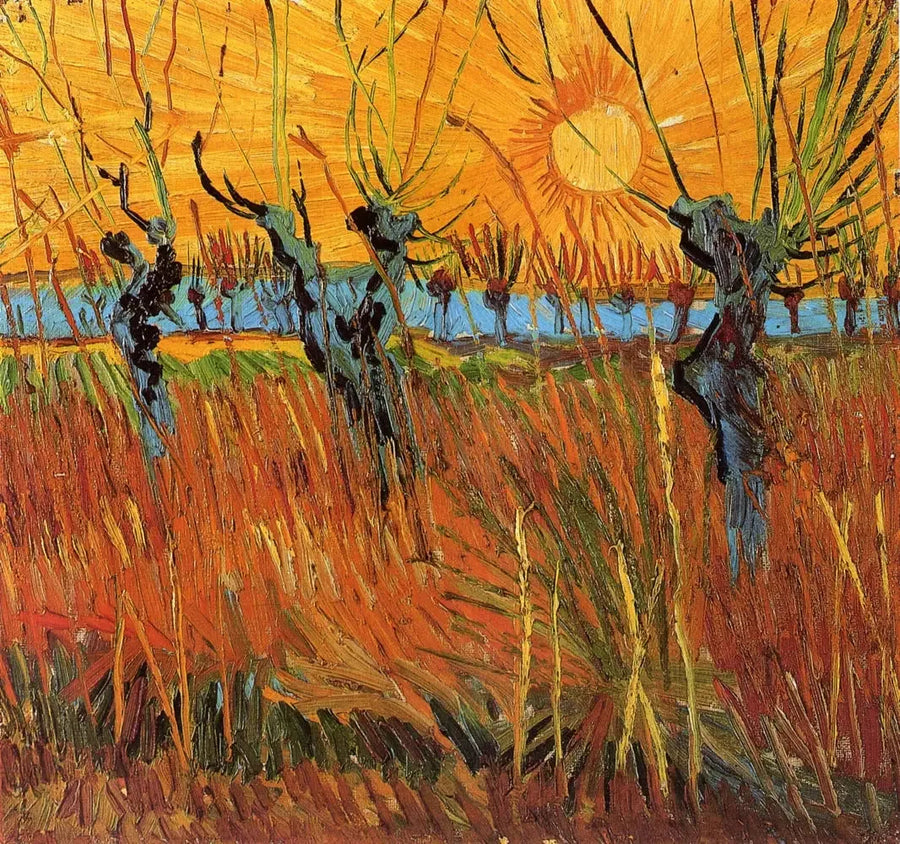 Salici al tramonto - Vincent van Gogh