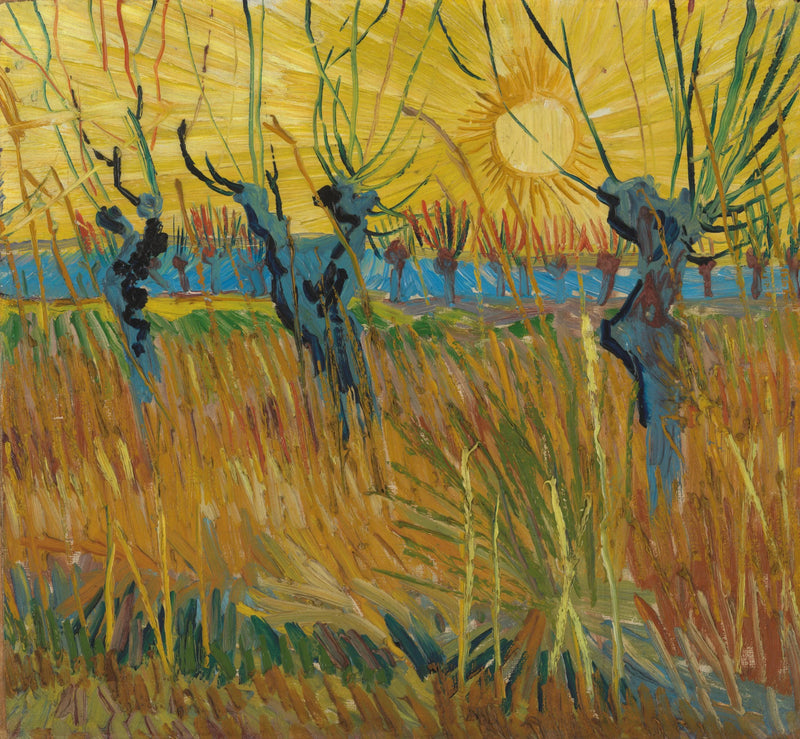 Salici al tramonto - Vincent van Gogh