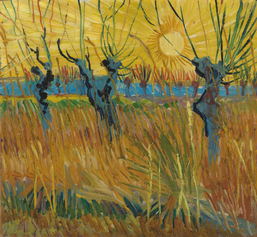 Salici al tramonto - Vincent van Gogh