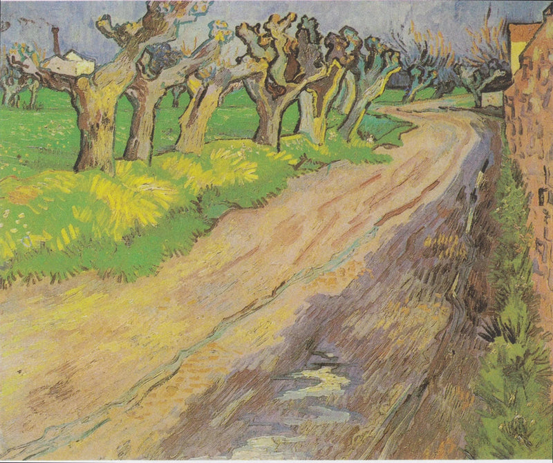 Salici polloni - Vincent van Gogh