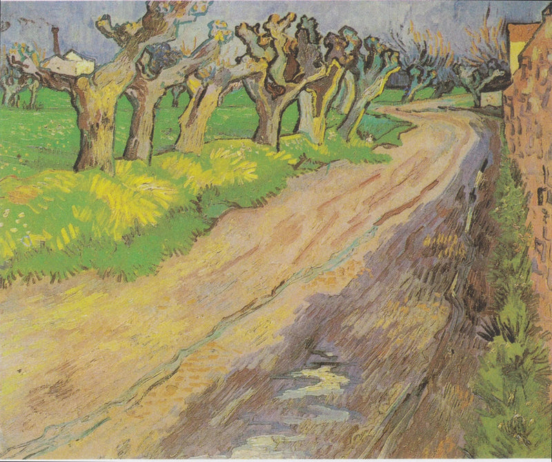 Salici polloni - Vincent van Gogh