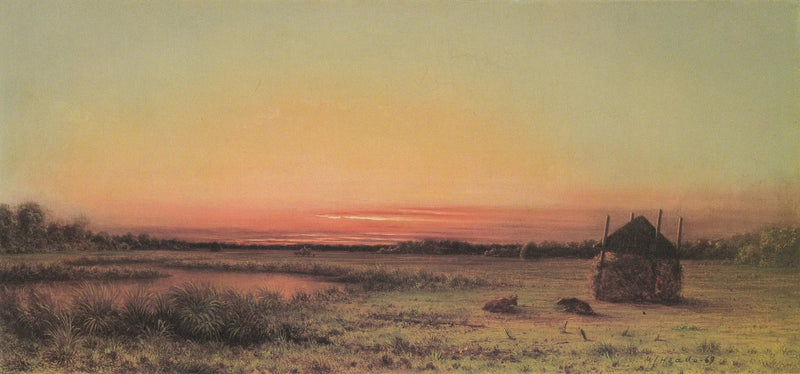 Scène de marais : due bovini in un campo - Martin Johnson Heade